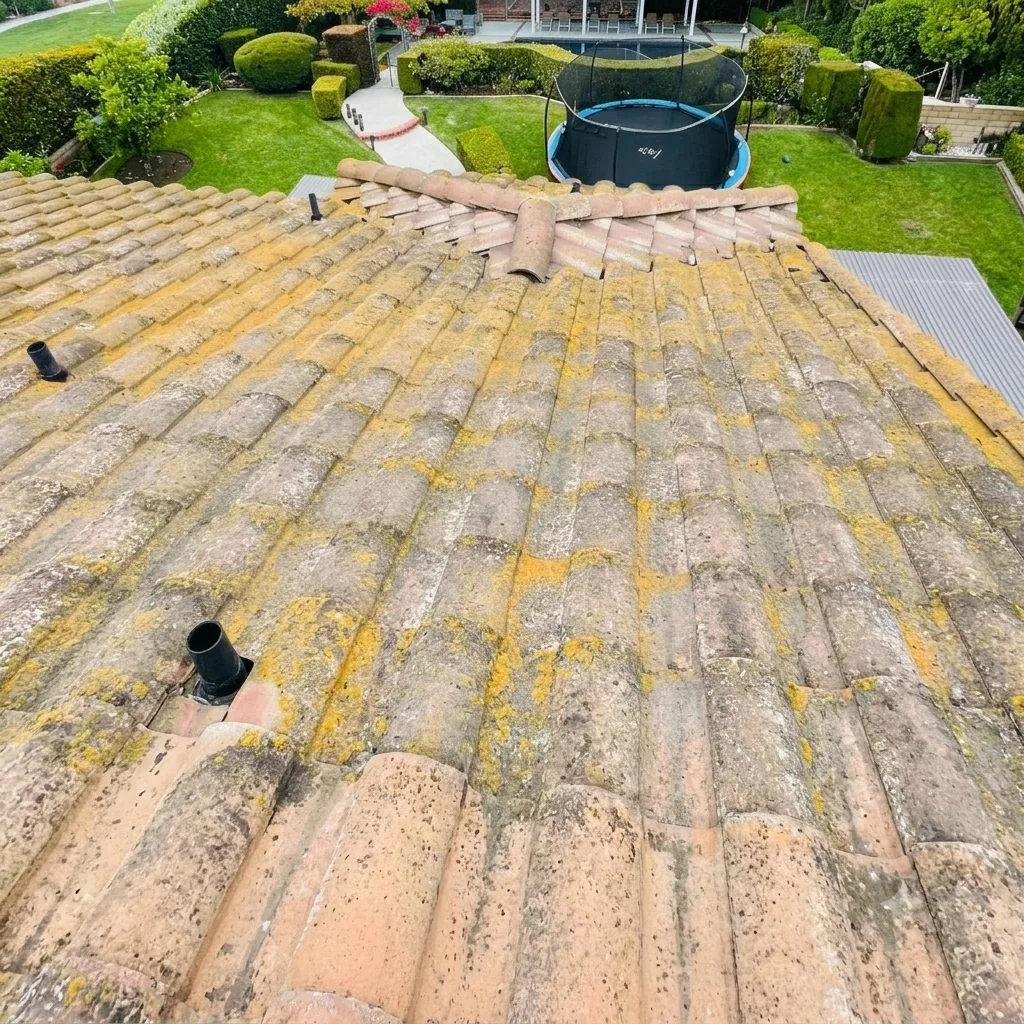 Same concrete tile roof before cleaning, covered in dark algae and lichen buildup
